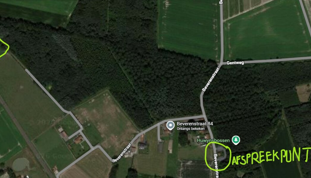 Schermafbeelding 2026-02-10 095534