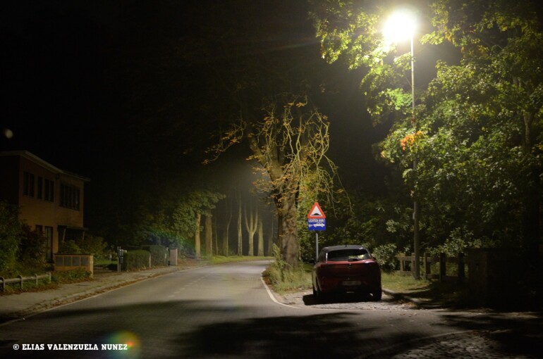 Licht tussen bospark en verloren bos