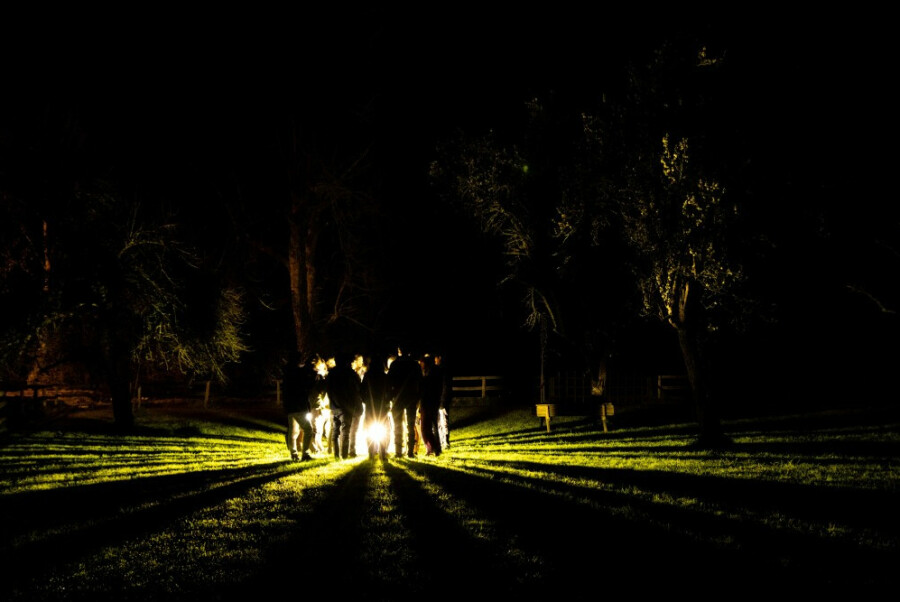 Natuurstudiecongres (NSC)