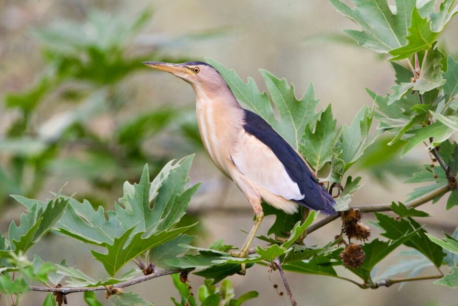 5fc2dfaf-9b2b-4b08-a4a4-658ce50f26a9