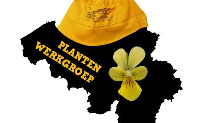 Plantenwerkgroep JNM: Het Blak