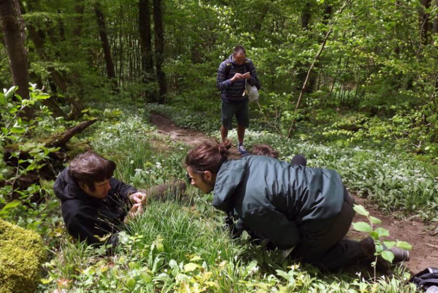 1000-soortenweekend '26