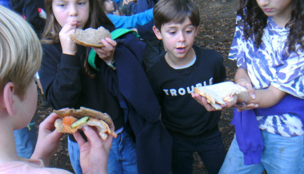 WhatsApp Image 2025-09-01 at 19.39.32