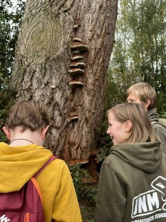 7a117f47-4940-47e8-921a-c34474f753ef