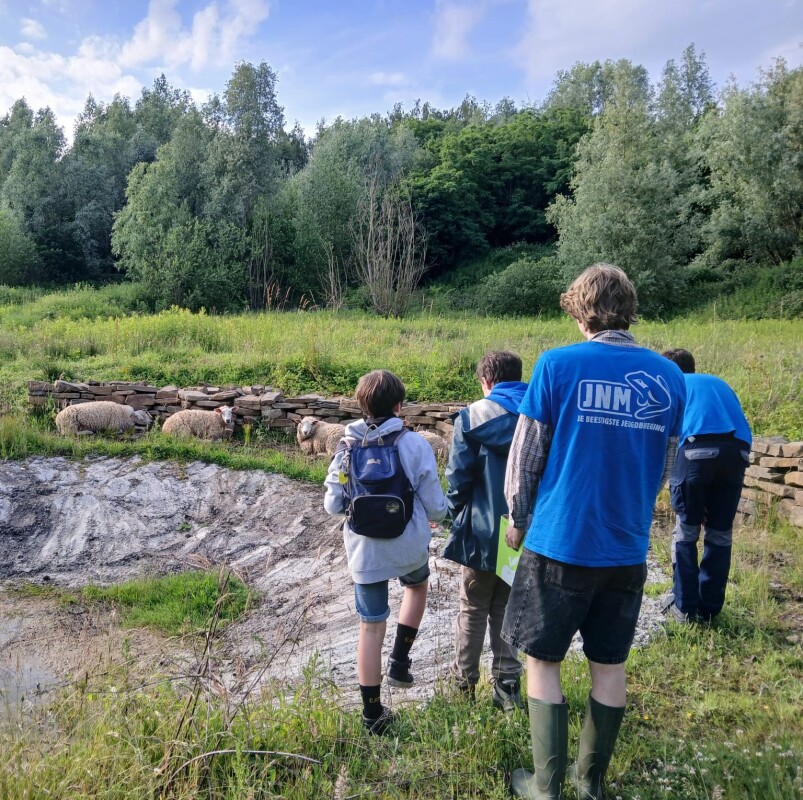JNM Druivenstreek