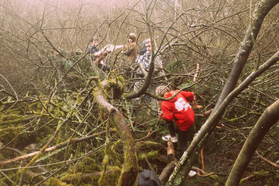 Startdag Mysterieuze mossige bossen