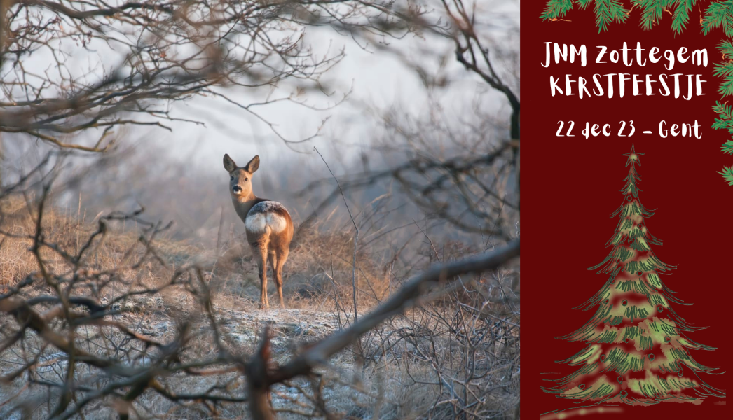 Add a little bit of body text