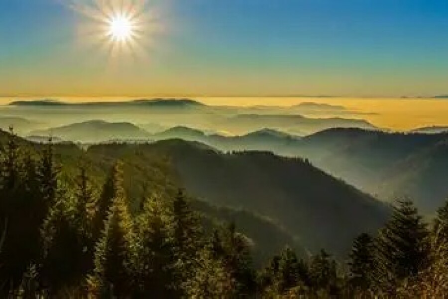 GL-kamp: Kur in der Natur