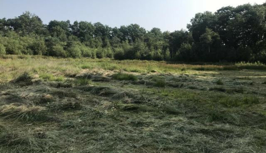 5cd57dfe-7906-4700-b18e-346742f43f32