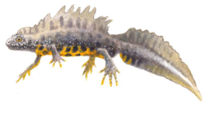 Screenshot 2026-02-24 22.10.23