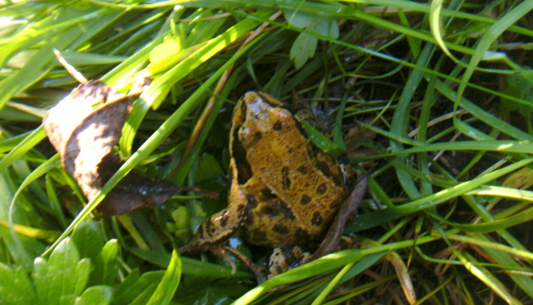 WhatsApp Image 2025-09-01 at 19.39.27 (5)