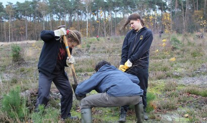 geannuleerd - Het gras knippen