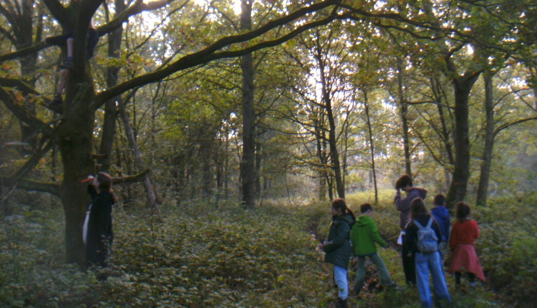 WhatsApp Image 2025-09-01 at 19.39.29