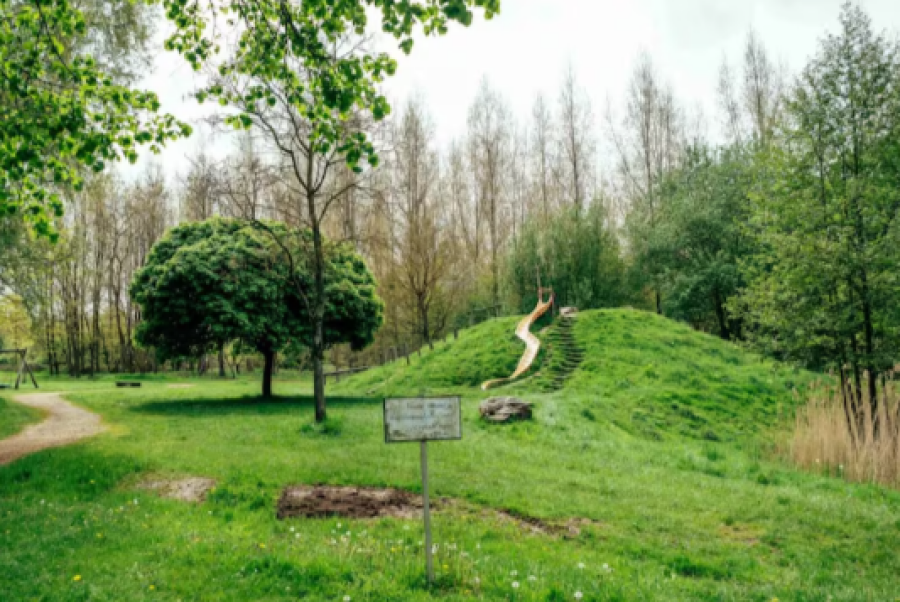 Zaadbommengevecht