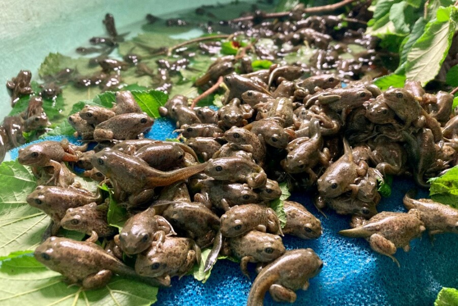 NWG: Op bezoek bij het aquatisch onderzoekscentrum in Linkebeek