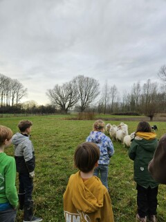 9eff2e23-d107-44cb-baac-5ca0df39834a