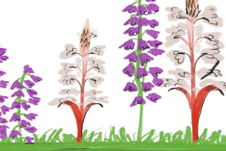 Project verkeersknooppunt Strombeek-Bever: sessie 1