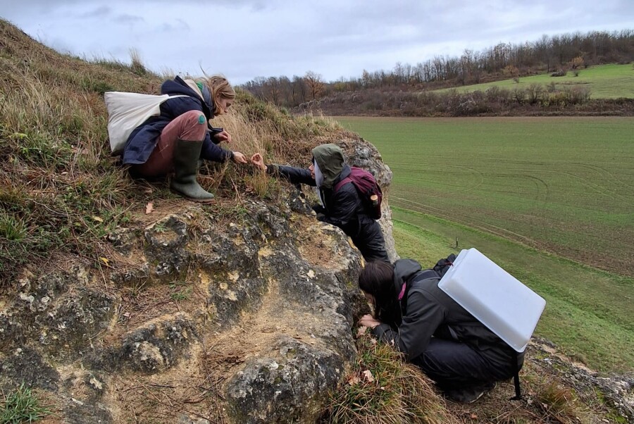 e26aed7c-185b-45de-a906-abfd4ed25a5f