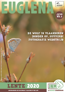 Cover-Euglena-Lente-2020