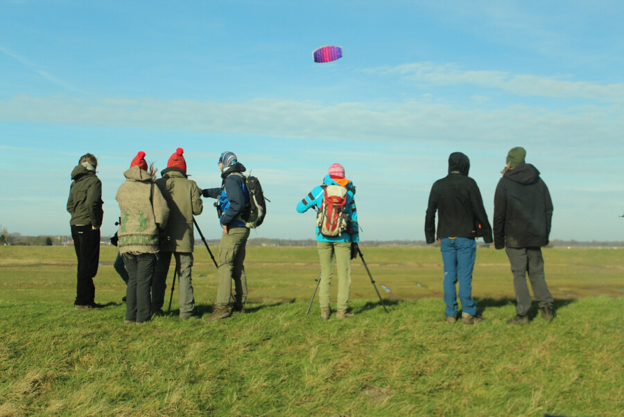 Zeelandreis naar het verdronken land van saeftinghe