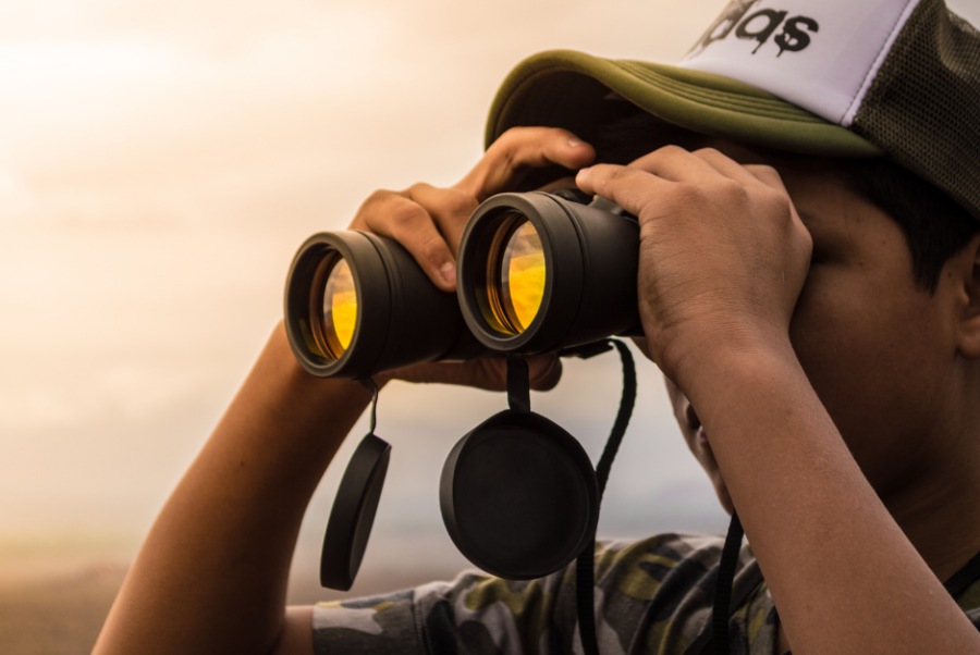 Vogelen met een kater