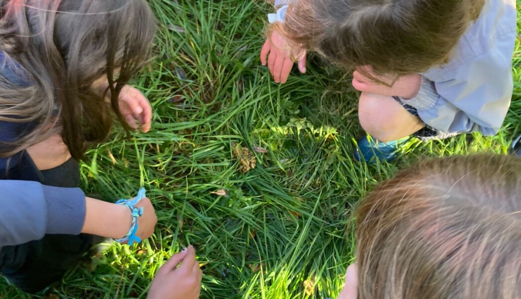 WhatsApp Image 2025-09-01 at 19.39.33 (2)