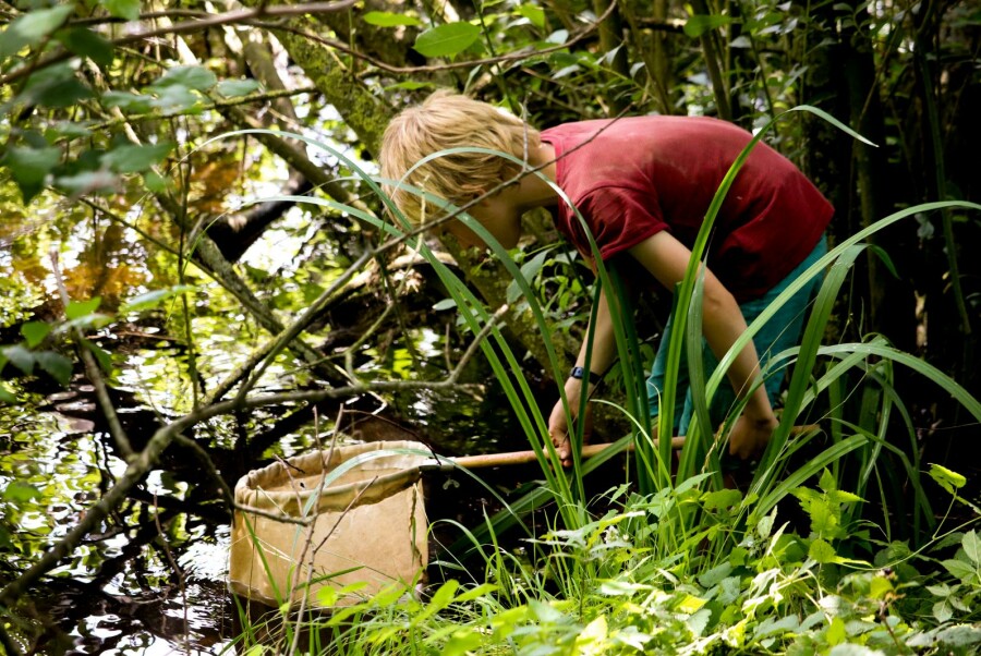 water - natuurstudie - Lotte Rohde-9