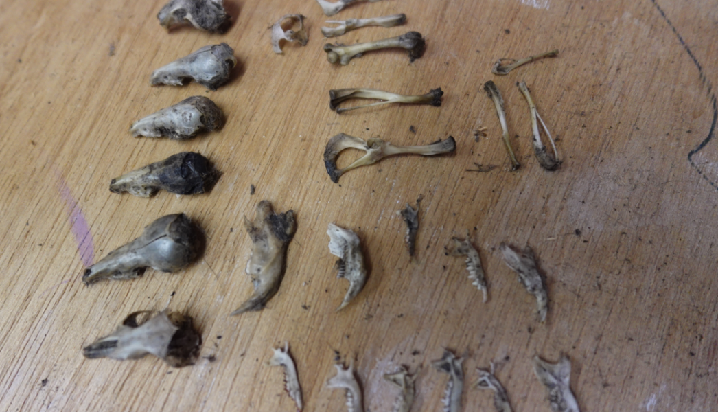 Schermafbeelding 2025-11-25 135627