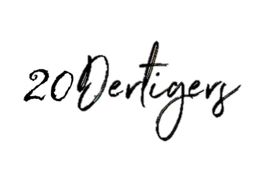 Beleidsdag: 20Dertigers