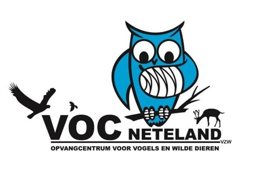 De verdreven drakenstammen @VOC