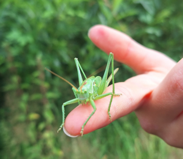 Scherm­afbeelding 2024-08-05 om 20.17.44