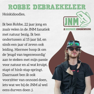 Robbe