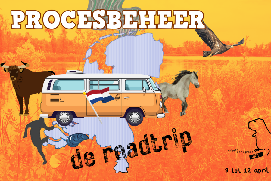 Procesbeheer, de roadtrip