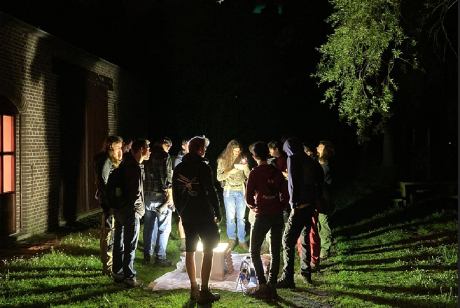 Chillll/vleermuis avond + nachtvlinders determineren! (in de ochtend)