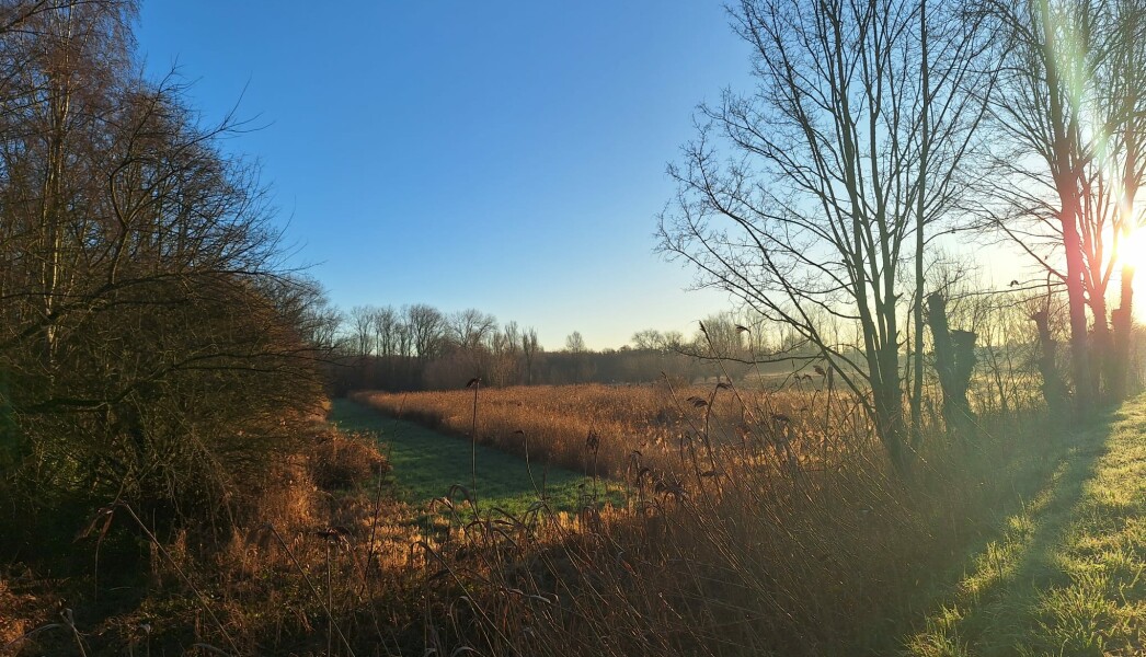 WhatsApp Image 2026-02-25 at 08.36.10