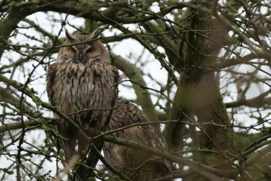 Tocht in de zandgroeve