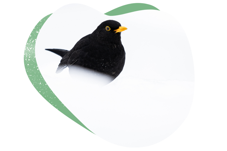 bac38a15-83b4-400c-a85d-bbfff3fc2293