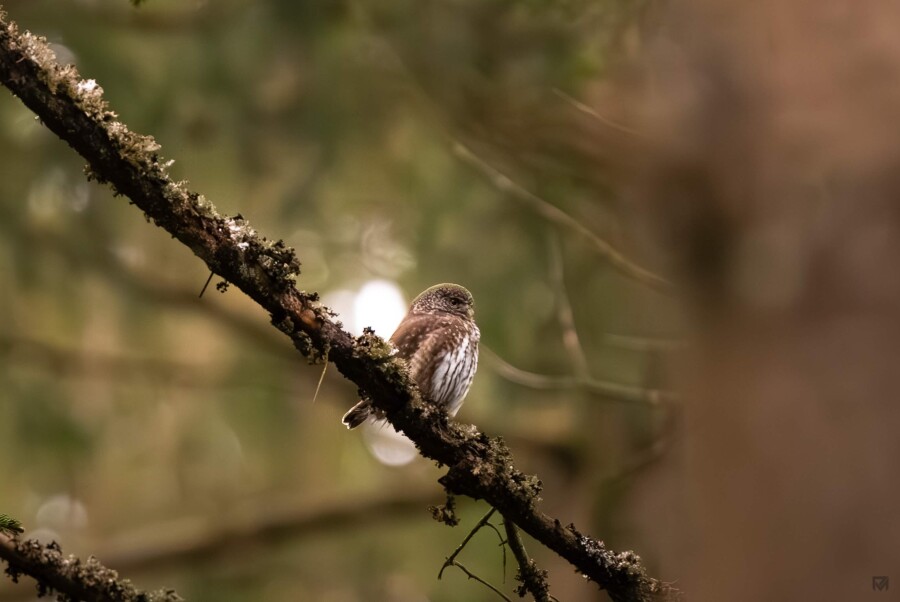 NWG Voorjaarsweekendje