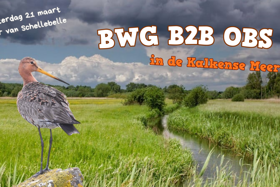 BWG B2B OBS in de Kalkense Meersen
