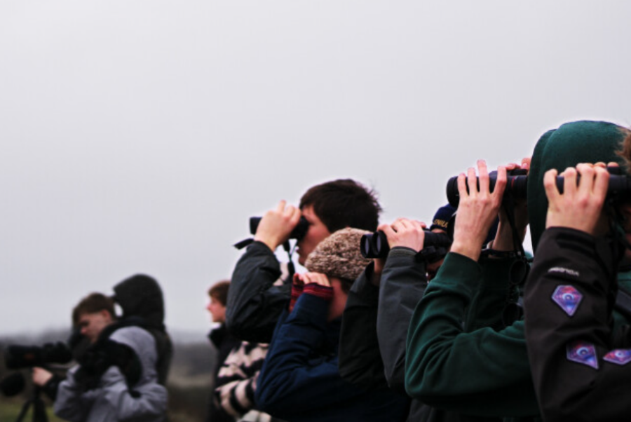 1000 soortjes met A'pen