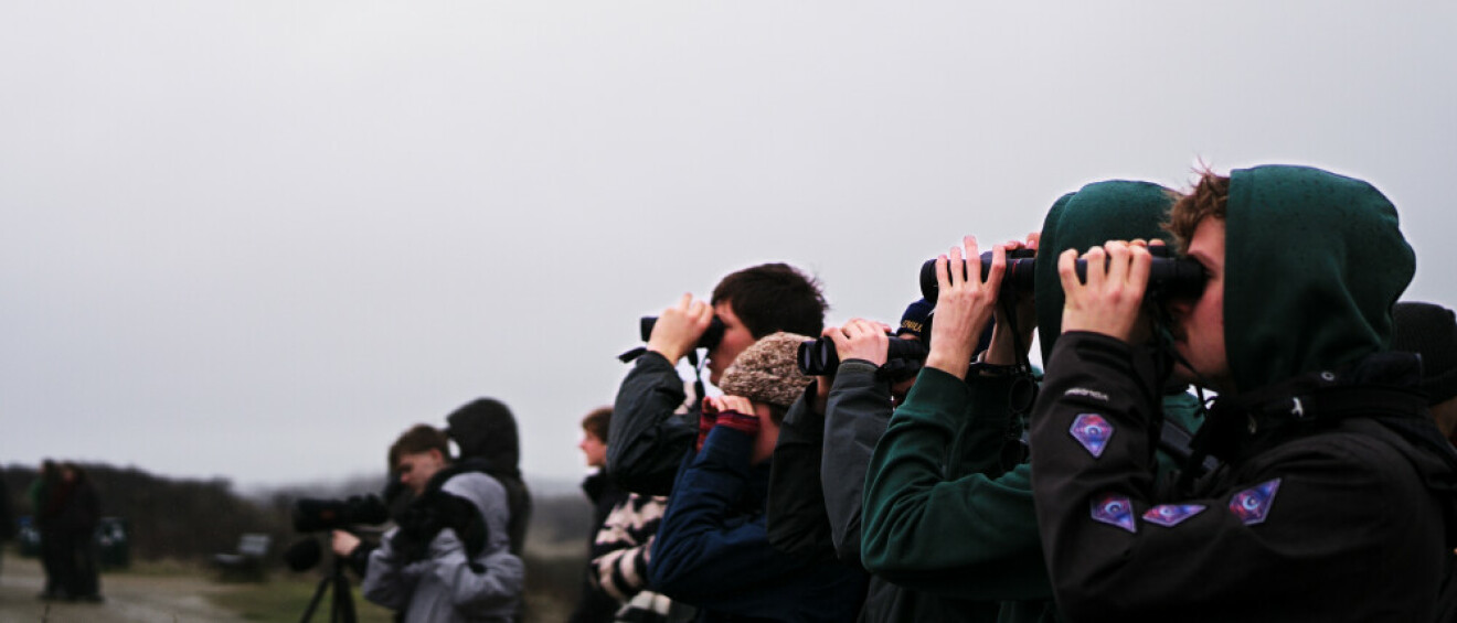 gallery_lightbox__dsc2773-edited