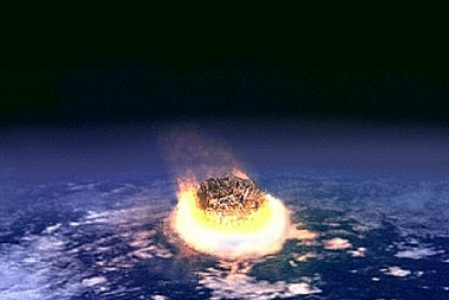 Massa-extinctie in het Beverbos