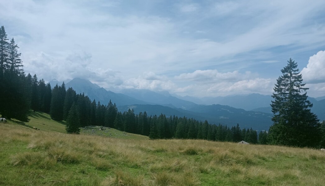 WhatsApp Image 2026-01-31 at 22.25.25 (1)