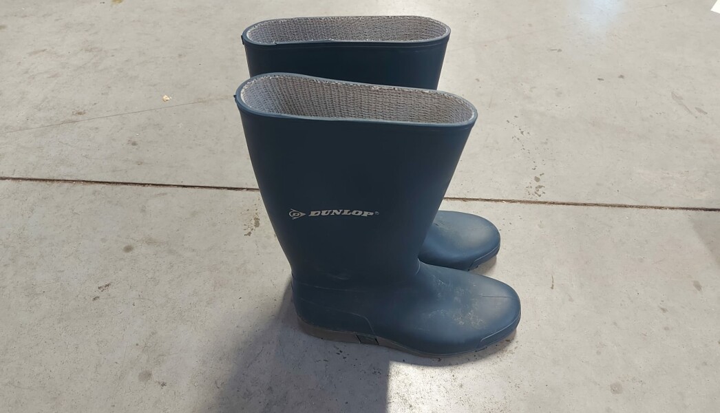 WhatsApp Image 2025-06-26 at 20.35.40