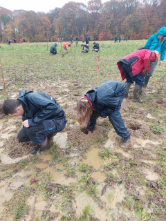 Boomplantactie Hageland-Zuiderkempen, foto: Tijl Philtjens