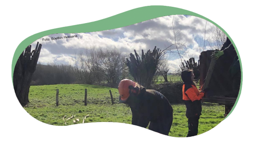 Knotkater-blob-trans-1400