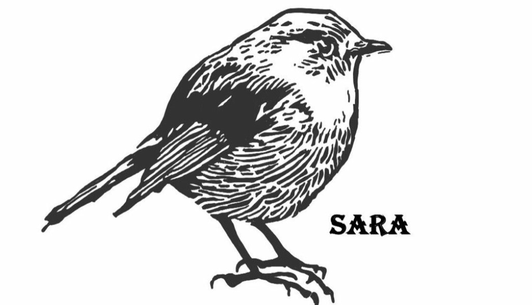 Waarderen_persoonlijk_logo