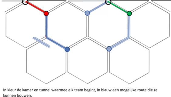 afbeelding_2026-03-16_224552411