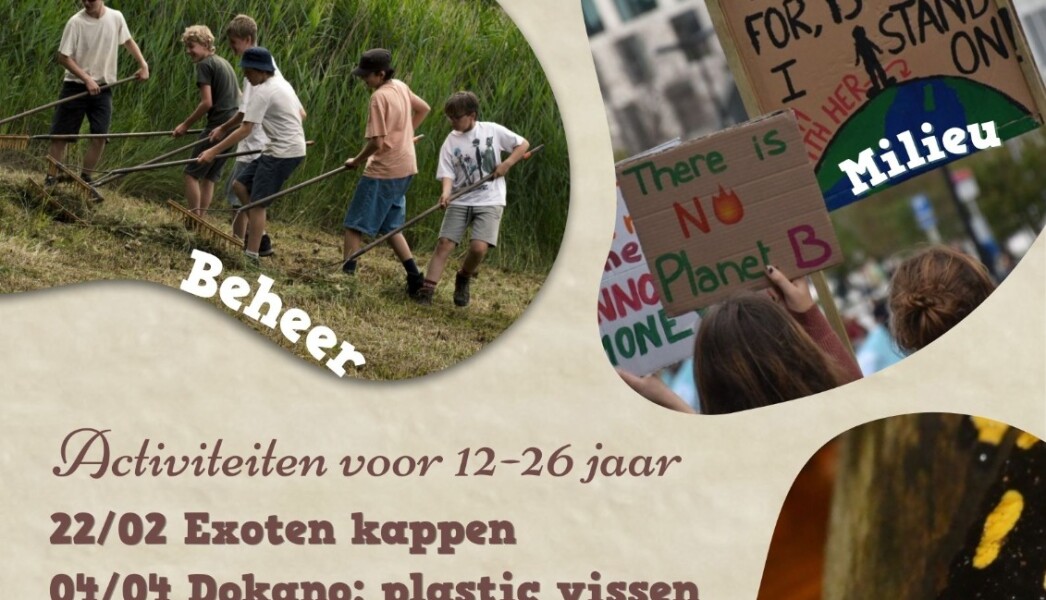 WhatsApp Image 2026-02-07 at 17.40.12